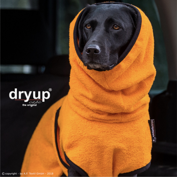 dryup cape Hundebademantel clementine